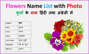 Flowers name list with meaning. Flowers Name In Hindi And English à¤« à¤² à¤• à¤¨ à¤® Digitalstudyhindi