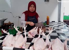 Kisaran harga ayam broiler berdasarkan daerahnya. Sempat Anjlok Harga Ayam Broiler Di Ciamis Merangkak Naik Pikiran Rakyat Com