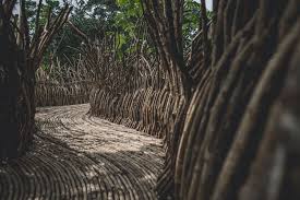 Gallery Of Azulik Uh May Art Center Roth Architecture 13 Landscape And Urbanism May Arts Innovative Art