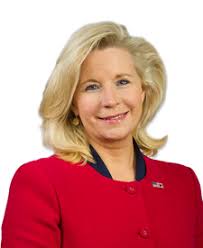 3 position in the house on wednesday. Comparing Liz Cheney S Voting Record To Another Representative In The 115th Congress Represent Propublica