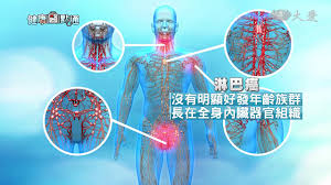 哪個細胞突變了？ b細胞型：較常見。罹患淋巴癌的犬貓中， 約有八成的狗和六成的貓是屬於此類型 。 t細胞型：雖然比例較低，但此類型的淋巴癌在治療上比較困難。 腫瘤長在哪？ ç„¡è²æ®ºæ‰‹ æ·‹å·´ç™Œ6å¤§ç—‡ç‹€ ç‡'è…«æ±—å'³ç˜¦ç™¢ Youtube