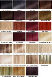 49 Qualified Hair Extension Color Number Chart