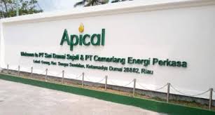 The best performing listings maintain this general outline, while tailoring it the specific duties and requirements for your position. Assistant Accounts Finance Manager For Apical Group Dubai Find All The Relevant International Jobs Here