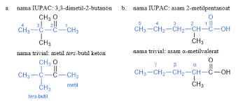 Cara yang paling sering digunakan, terutama dilaboratorium untuk mensintesis aldehid dan keton adalah dengan mengoksidasi suatu alkohol. Contoh Soal Dan Pembahasan Aldehid Dan Keton Dapatkan Contoh