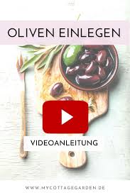 Im Video Erklart Selbstgepfluckte Oliven Einlegen In 2020 Oliven Rezepte Oliven Gemuse Anbauen