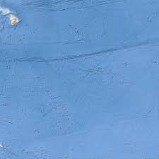 Image result for Emilia pseudactis