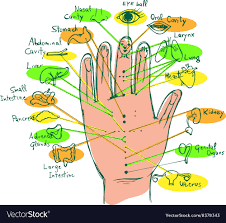 Reflexology Hand Chart