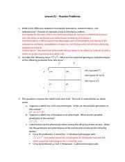Mendelian genetics with the simpsons by indigoandviolet teaching. Bikini Bottom Genetics Name Doc Bikini Bottom Genetics Name Date Period Incomplete Dominance Spongebob Loves Growing Flowers For His Pal Sandy Her Course Hero