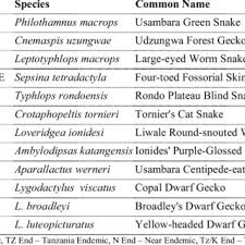 Image result for Sorindeia katangensis