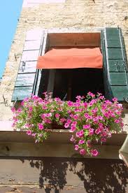 Maybe you would like to learn more about one of these? Italy France Lugares Que Visitei Na Italia E Franca Flower Window Box Window Box Italian Flowers