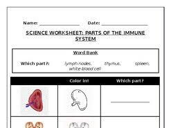 Interactive science worksheets to help your child. Science Worksheets Parts Of The Human Immune System Teaching Resources