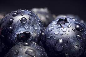 Top 10 Macro Photography Cameras Best Macro Camera 2021 Macro Photography Fruit Photography Macro Photography Tips