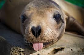 They have had more opportunities for mutations to build up. 4 Cancer Sign Symbols You Never Knew About Guy Counseling