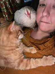 Coping with the loss of a beloved pet