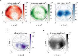 Learn vocabulary, terms and more with flashcards, games and other study tools. Spherical Arena Reveals Optokinetic Response Tuning To Stimulus Location Size And Frequency Across Entire Visual Field Of Larval Zebrafish Elife