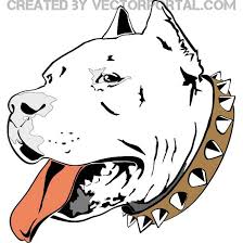 Pin On Coloring
