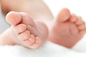 newborn baby s feet baby feet newborn baby newborn