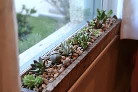 Cacti are the answer for anyone who wants great gardening results with minimal effort. Windowsill Succulent Garden Indoor Gardens Plants Succulents