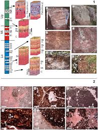 Campus sur es un nuevo curso intensivo de español para universidades creado: Early Permian During The Variscan Orogen Collapse In The Equatorial Realm Insights From The Cantabrian Mountains N Iberia Into Climatic And Environmental Changes Springerlink