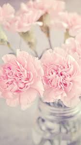 Pretty Pink Flowers Pastel Wallpaper Iphone Background Iphone Wallpaper Preppy Floral Wallpaper Iphone Peony Wallpaper