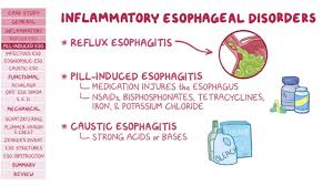 An immunocompromised state, the more commonly seen manifestations are oral candidiasis or hsv or cmv esophagitis. Esophageal Disorders Pathology Review Osmosis