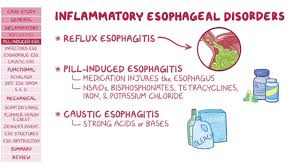 Velvet mucosa on endoscopy becomes barrett's epithelium when histology features columnar metaplasia. Esophageal Disorders Pathology Review Osmosis