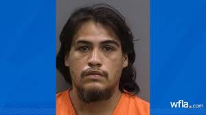 Arrest made in fatal Gibsonton Hit-and-run