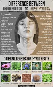 Do You Know The Difference Between Underactive And Overactive Thyroid Overactive Thyroid Thyroid Health Hyperthyroidism