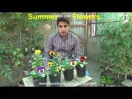 Youtube Flowers Name List Summer Flowers Flowers Name In Hindi