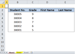 Skauts the hem of a garment); Excel Formula Vlookup From Another Sheet Excelchat
