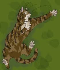 Whiskers art billystorm skyclan's destiny leafstar, cat, png. Warrior Cats 041 Leafstar By Nikumareyaku Fur Affinity Dot Net