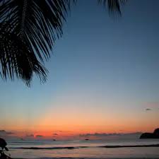 Image result for Cocos