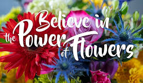 City of flowers in the world. World Class Flowers Florist Egg Harbor City New Jersey 11 Reviews 363 Photos Facebook