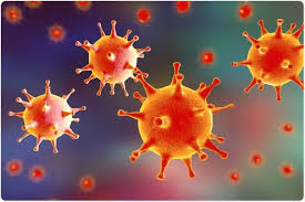 But we don't have a game from april 25th until may 10th. Advancing Towards 100 Effective Herpes Vaccine