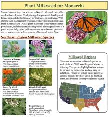 Pin On Pollinators