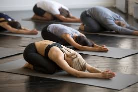 We are committed to living simply and sustainably; Yoga Teacher Training New Zealand Julie Stephens Yoga For Life
