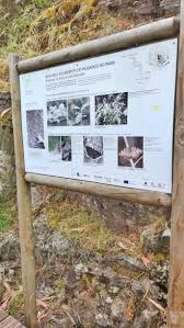 Olá bom dia!fui conhecer os passadiços do paiva,que queria conhecer há muito tempo!gostei muito e divido aqui com vocês a. Paiva Walkaways World To Explore Travel Scripts Itinerary And Tips