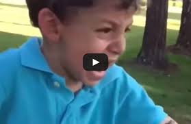 Hilarious Reaction To Frog Jumping On Him Getsokt Com Hilarious Funny Clips Frog