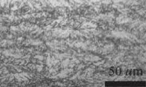 Image result for steel micrograph