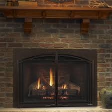Check spelling or type a new query. Gas Inserts Fireside Hearth Home