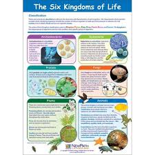 6 Kingdoms Of Life Monera Is Separated Into Archeabacteria And Eubacteria Eubacteria Science Biology 6th Grade Science