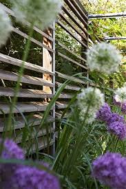 Pin Von Astrid Voorn Michels Auf Terrasse Garten Und Outdoor Garten Herbstgarten