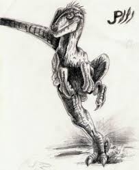 More news for jurassic park 3 velociraptor » Picture Of A Male Velociraptor In Jurassic Park 3 Jurassic Park World Jurassic Park Paleontology
