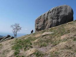 Risultano persone decedute, il bilancio è provvisorio. Mottarone Parco Dei Sassi Piemonte Falesia It De