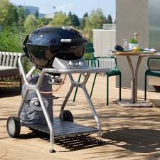 Pin Von Pflanzen Kolle Gartner Aus L Auf Grillzubehor In 2020 Outdoorchef Grill Gasgrill Grill Zubehor