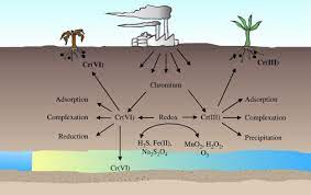 Chromium Contamination And Its Risk Management In Complex Environmental Settings Sciencedirect