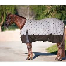 15 Best Horse Blankets Images Horses Horse Tack Horse Care