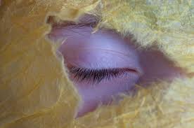 Ini adalah tips unik menghitung tanggal menggunakan kalkulator windows. Meninggal Dengan Mata Tertutup Dan Terbuka Apakah Bedanya