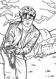 Search through 623,989 free printable colorings at getcolorings. Coloring Pages Harry Potter 150 Pieces Print A4 Wonder Day Coloring Pages For Children And Adults