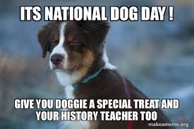Make your own images with our meme generator or animated gif maker. Its National Dog Day Give You Doggie A Special Treat And Your History Teacher Too Unsure Dog Make A Meme